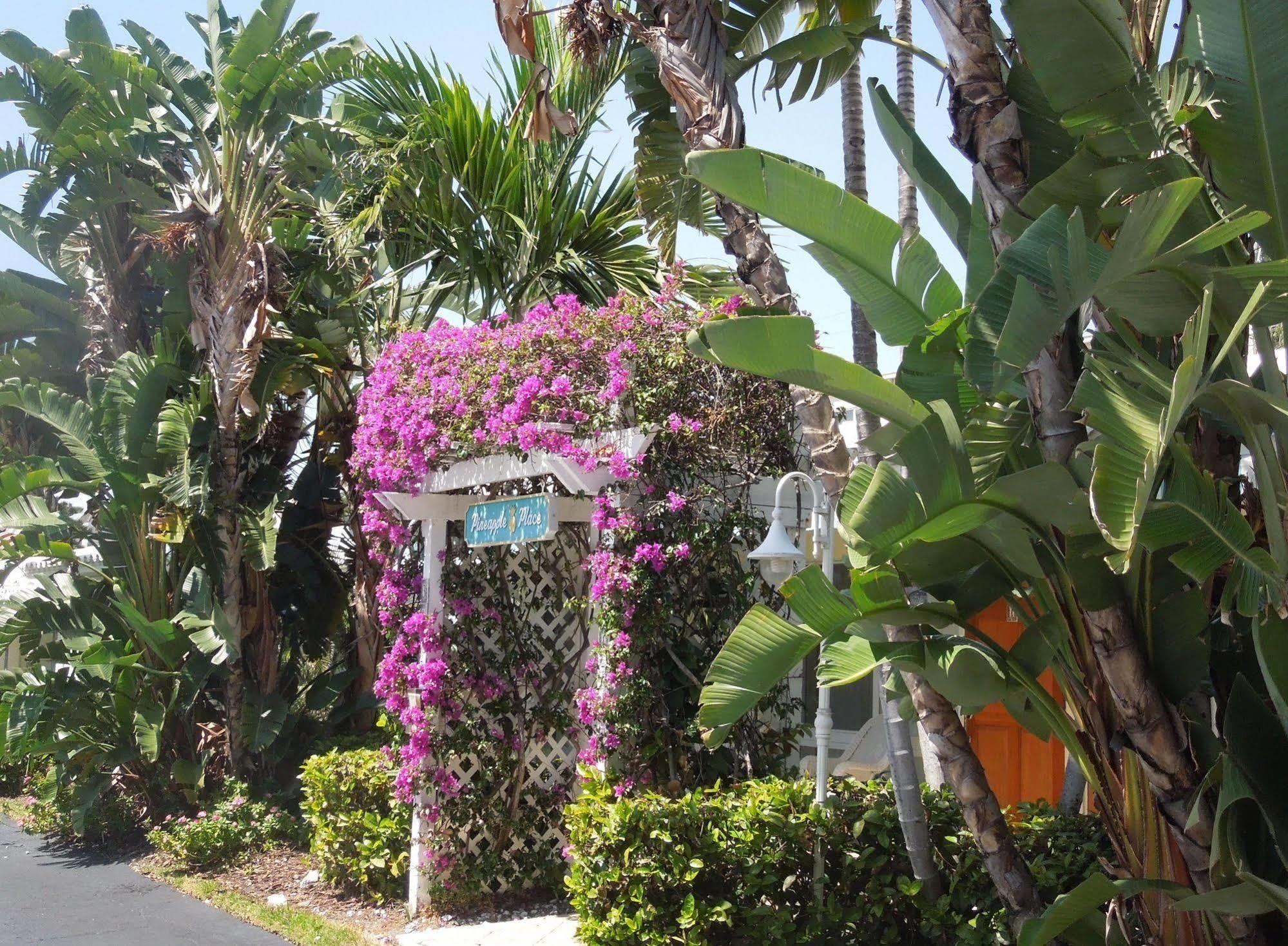 Pineapple Place Apartman Pompano Beach Kültér fotó